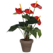 Artificial Plant - Red Anthurium - MICA